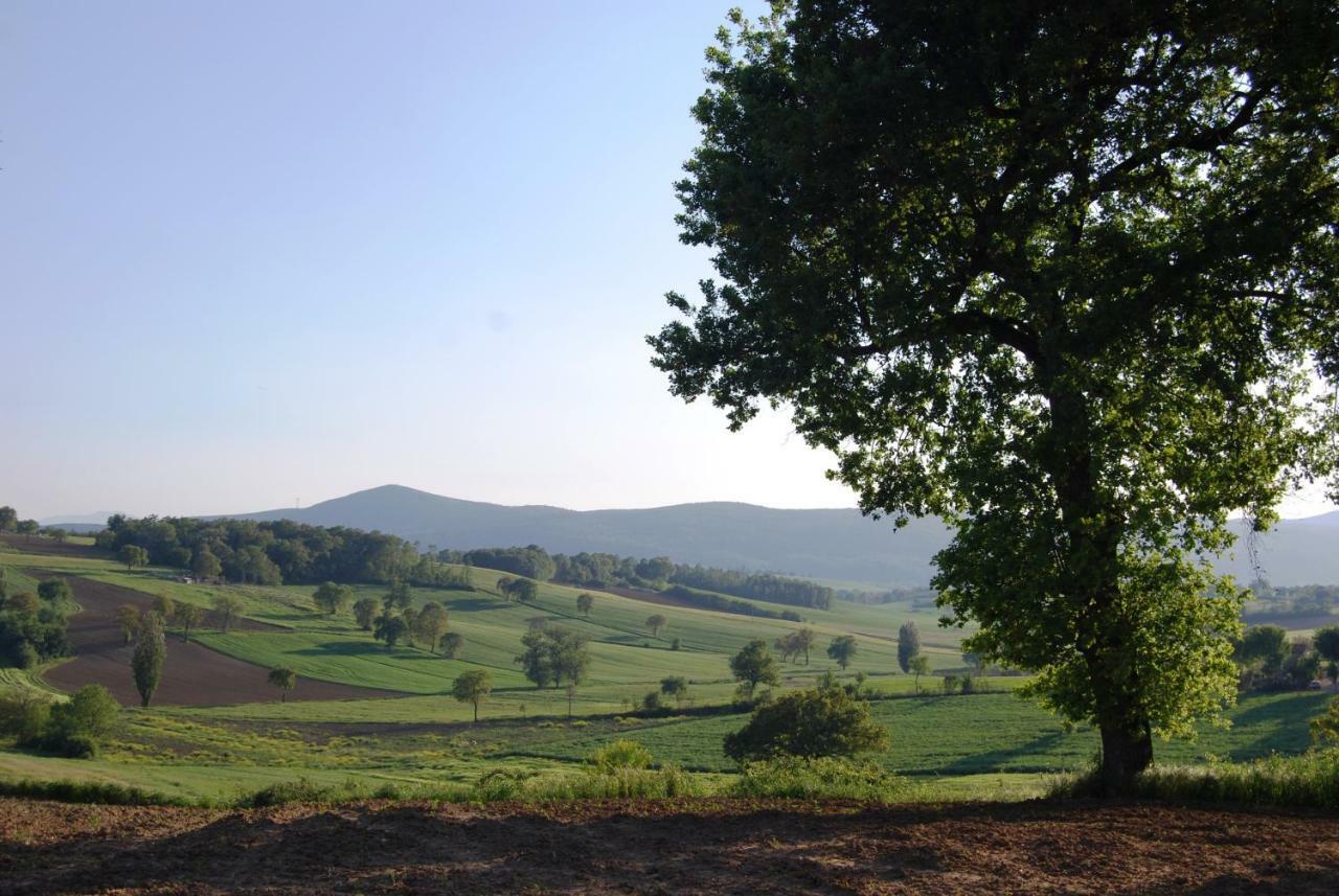 Bilocale Verde Umbria Montecastrilli Ngoại thất bức ảnh