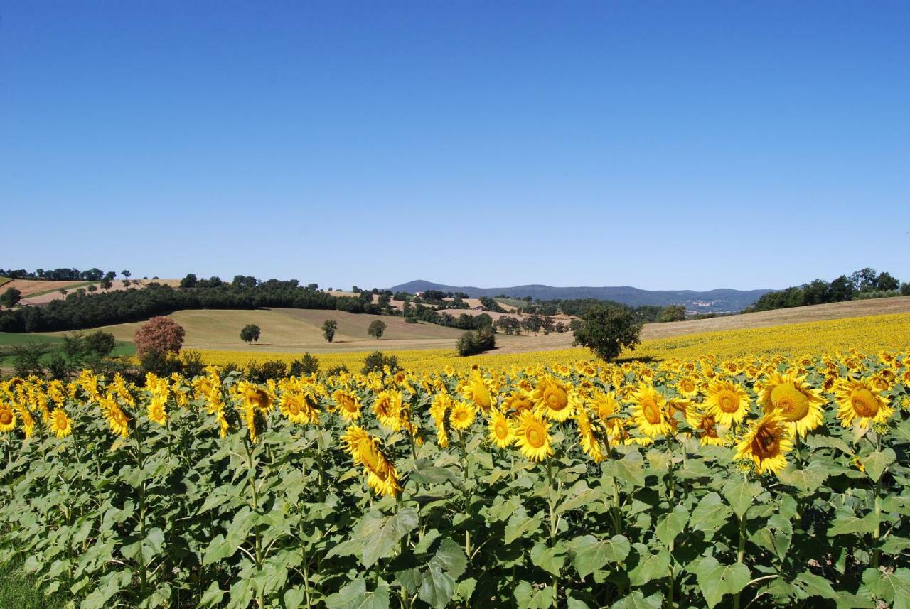Bilocale Verde Umbria Montecastrilli Ngoại thất bức ảnh